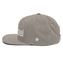 Load image into Gallery viewer, Snapback Hat (Original / Star)